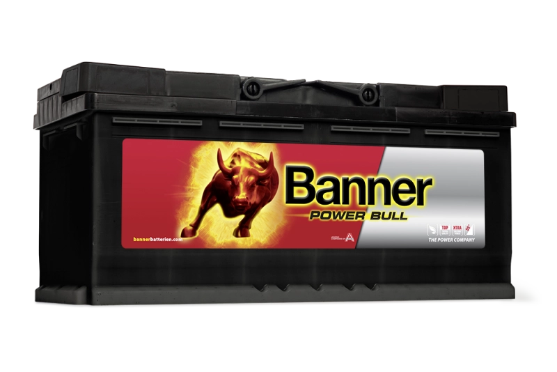 Banner 100Ah Power Bull PROFESSIONAL - P10040