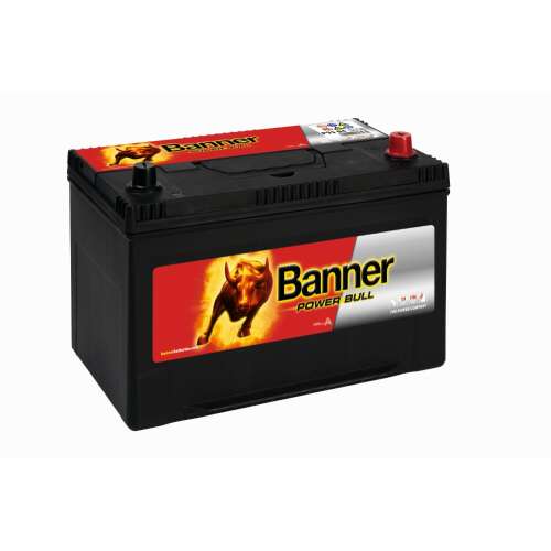 Banner 95Ah Power Bull - P9504