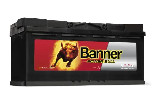 [PRO P11040] Banner 110Ah Power Bull PROFESSIONAL - PRO P11040