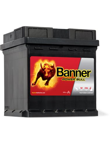 [P4208] Banner 42Ah Power Bull - P4208