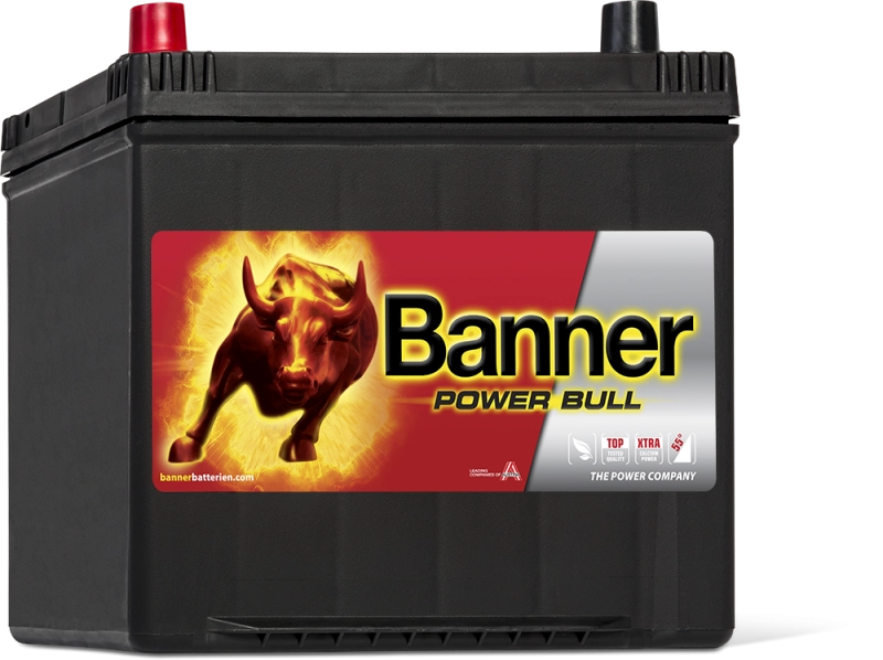 Banner 60Ah Power Bull - P6069