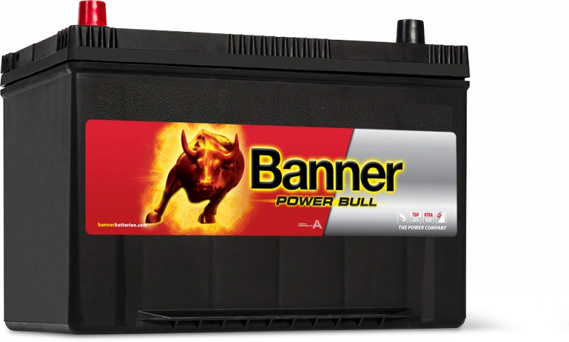 Banner 95Ah Power Bull - P9505